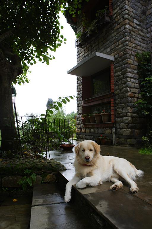Saffronstays Himalaica, Nainital Bhowali ภายนอก รูปภาพ