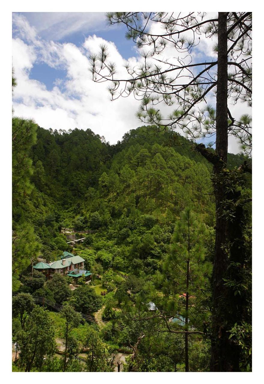 Saffronstays Himalaica, Nainital Bhowali ภายนอก รูปภาพ